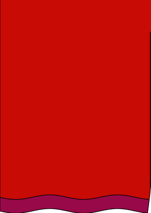 Left Curtain - Replace